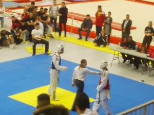 Open-Colomiers-2015-Taekwondo-9