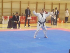 open-espagne-pampelune-taekwondo-7