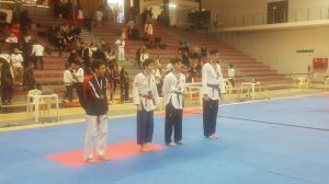 alek-challengers-taekwondo-open-lille-2016