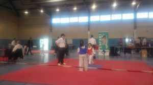 taekwondo-enfant-2016-st-andre-cubzac-4