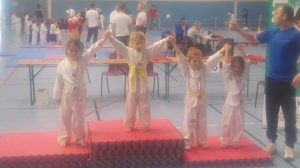 taekwondo-enfant-2016-st-andre-cubzac-5